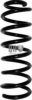 JP GROUP 1142207809 Coil Spring